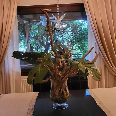 Mery's Countryside House * איוס מאמס
