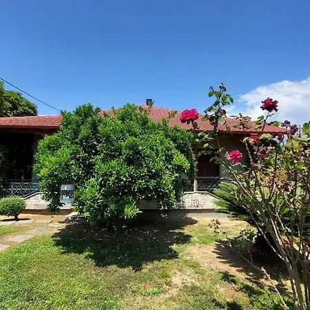 Feriehus Mery's Countryside House Agios Mamas (Chalkidiki)